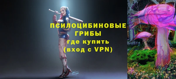 шишки Арсеньев