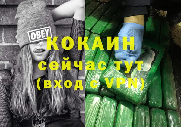 твердый Армянск