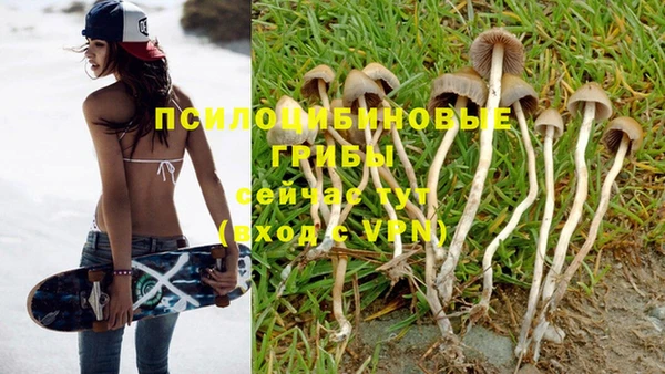 мет Аркадак
