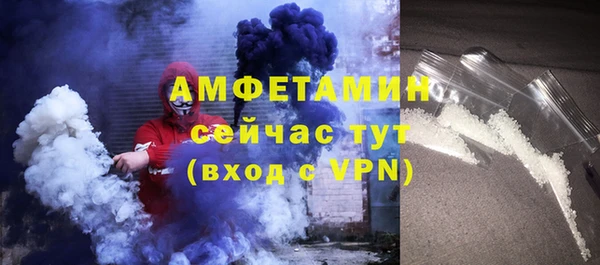 шишки Арсеньев