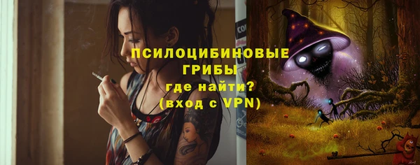 твердый Армянск