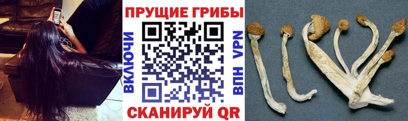 Галлюциногенные грибы ЛСД Междуреченск
